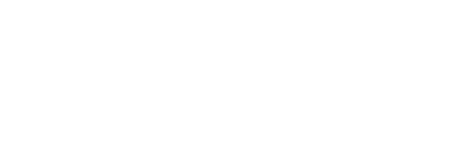 BAFA gelisteter Berater Siegel staatliche Förderung Unternehmensberatung Deutschland