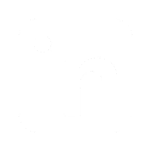 LinkedIn Icon für Business Netzwerk und professionelle Vernetzung