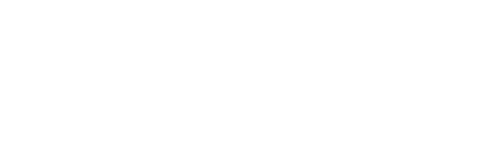 Trainers4Professionals Plattform für Online-Kurse und Weiterbildung für Trainer und Coaches